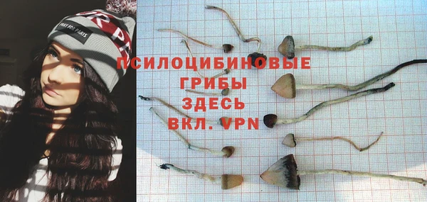 амфетамин Алексин